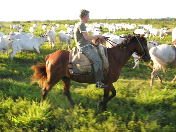 Uta als Cowboy